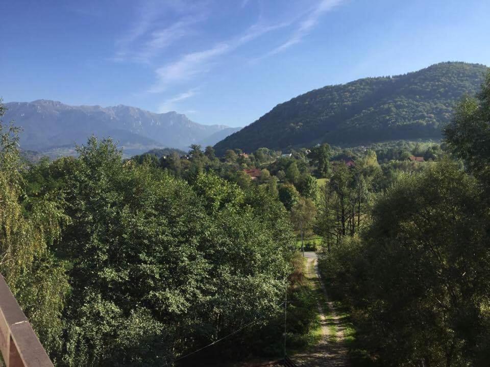 Vila Aldor Бран Экстерьер фото